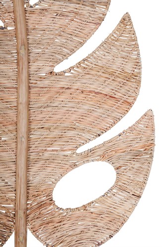 ML 524346 Peach leaf large_2