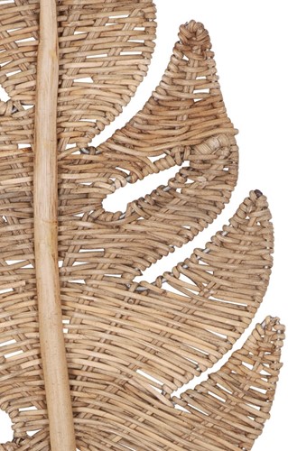 ML 524349 Peach leaf small_2