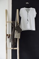 ML 801900 Must Have Ladder