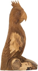 MUST Living parrot Rio