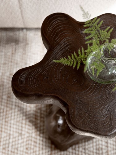 ML 456025 Mushroom brown_Sfeer