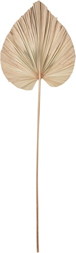 MUST Living Palm leaf small