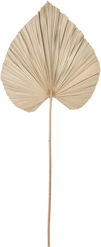 MUST Living Palm leaf large