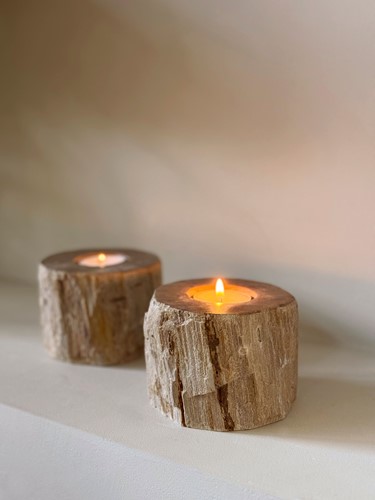 ML 852016 Candle holder Fossil_SF 2