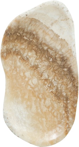 ML 852019 Plate Bean_3