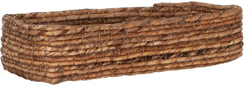 MUST Living breadbasket Santa Gertrudis