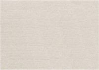 MUST Living carpet Nirvana rectangular medium