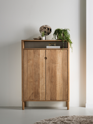 AP 461004 Apollo cupboard low_sf1