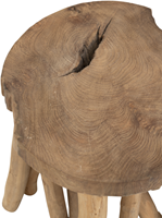 ML 456057 Jungle side table_3